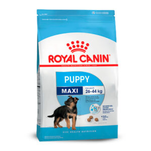 Royal Canin Maxi Puppy