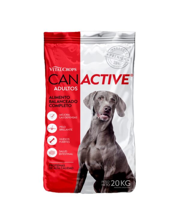 Canactive Adultos