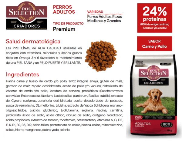 Dog Selection Criadores adultos - Image 2