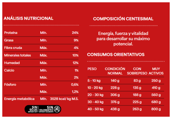 Dog Selection Criadores adultos - Image 3