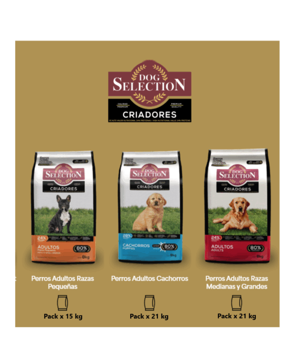 Dog Selection Criadores adultos - Image 4