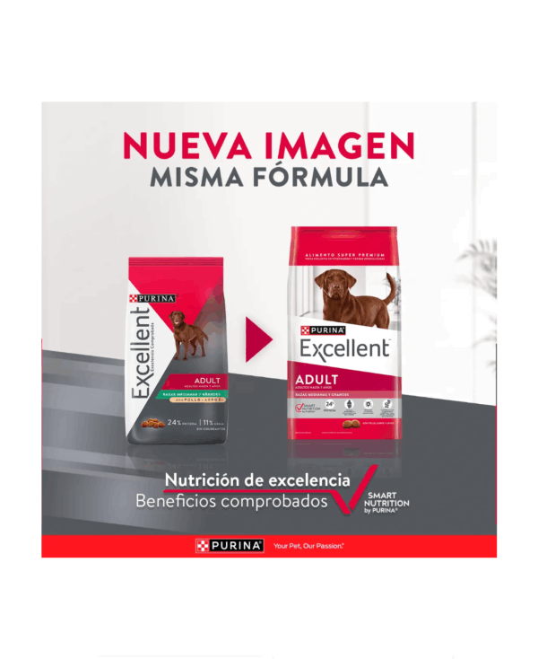 Excellent adulto razas medianas y grandes - Image 2