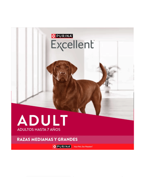 Excellent adulto razas medianas y grandes - Image 3