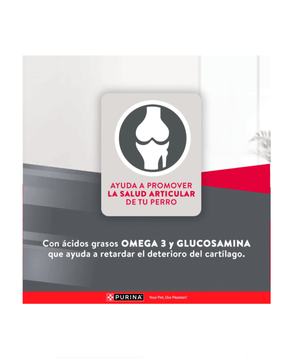 Excellent adulto razas medianas y grandes - Image 6