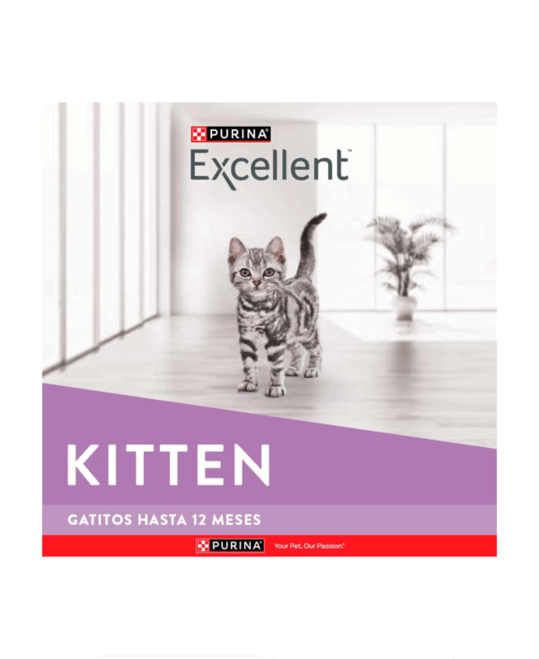 Excellent kitten - Image 3