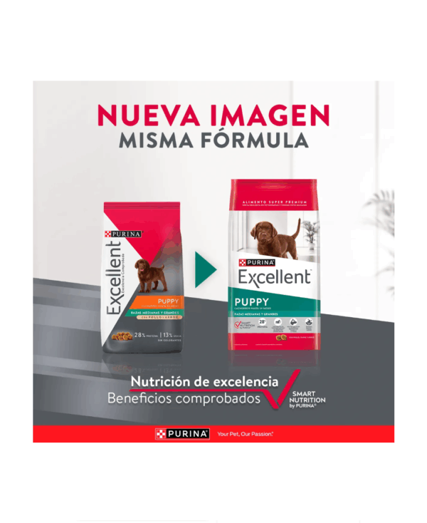 Excellent cachorro razas medianas y grandes - Image 2
