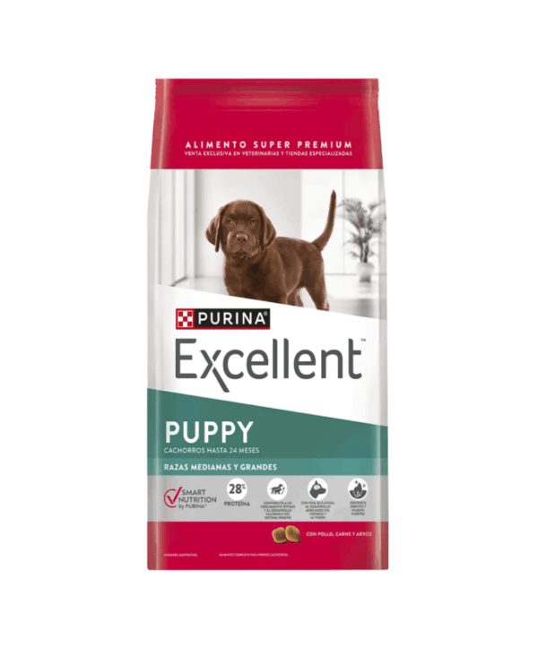 Excellent cachorro razas medianas y grandes