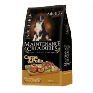 Maintenance perro adulto