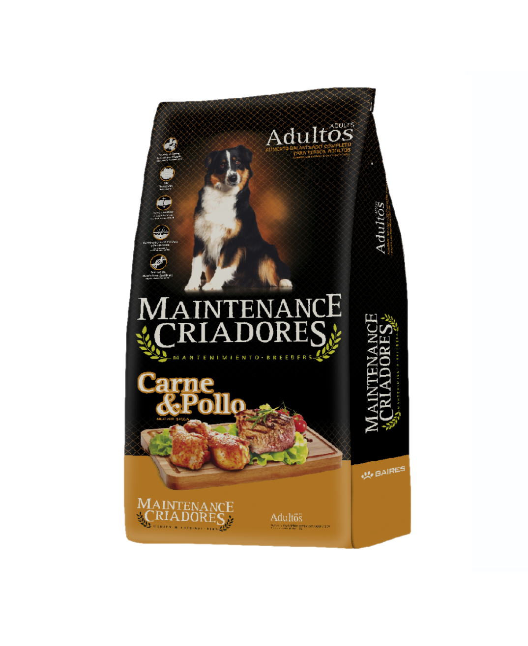 Maintenance perro adulto