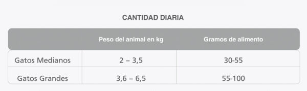 Old Prince equilibrium gato adulto - Image 3