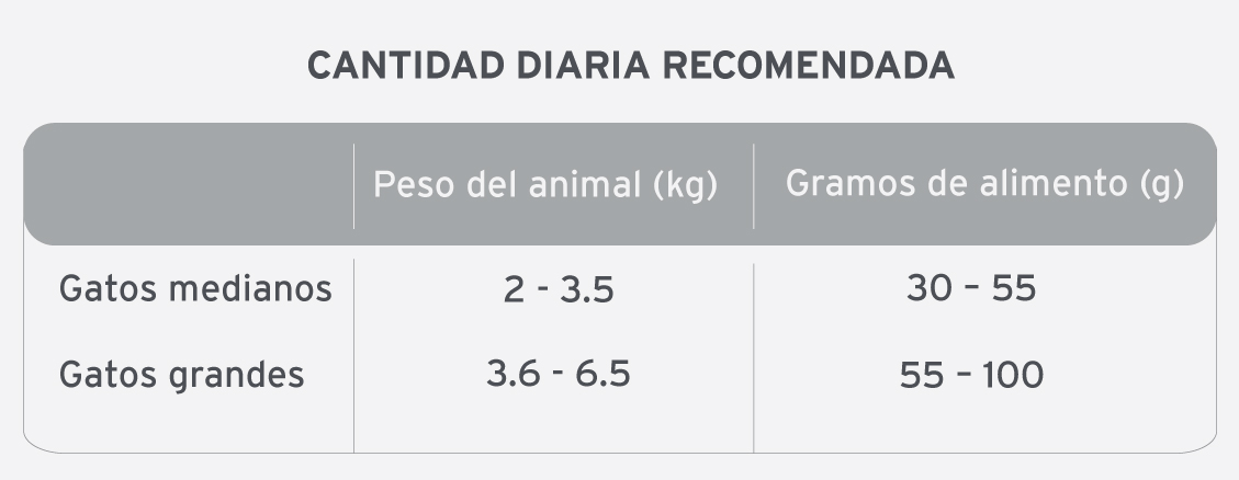Old prince equilibrium urinary gato - Image 3