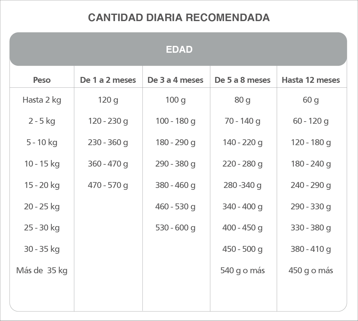Old Prince premium cachorro - Image 3