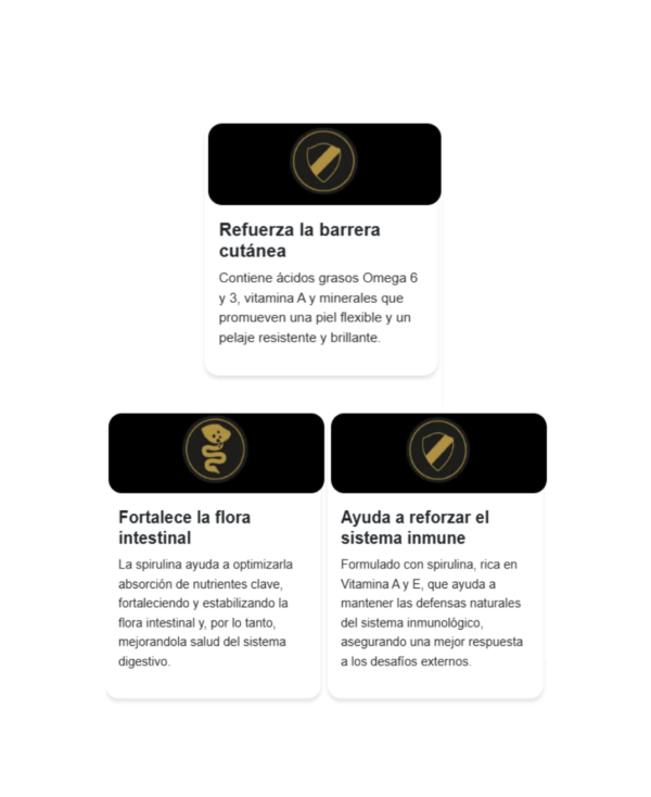 Pro plan perro adulto mediano - Image 3