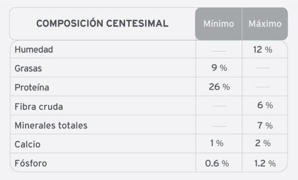 Voraz perros adultos - Image 3