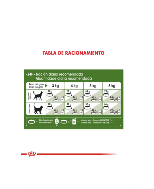 Royal Canin Active +7 - Image 2