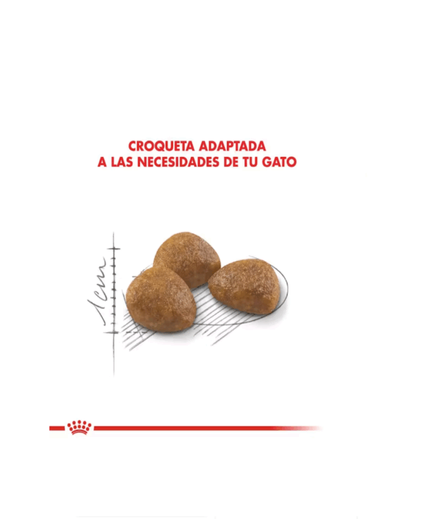 Royal Canin Active +7 - Image 3