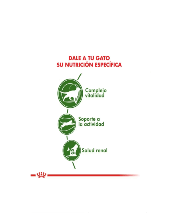 Royal Canin Active +7 - Image 4
