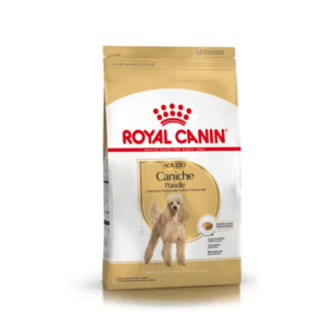 Royal Canin Caniche adulto