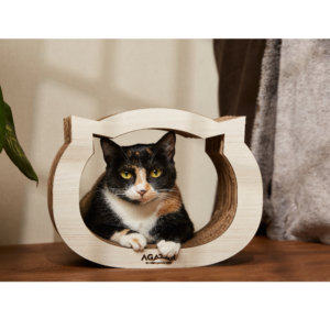 Agatar Cara de gato chico
