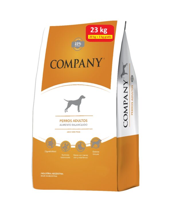 Company perros adultos - Image 4