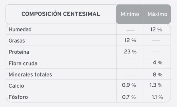 Company perros adultos - Image 3