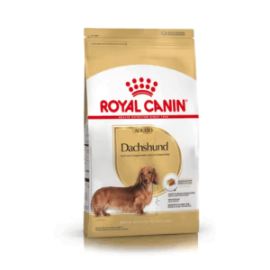 Royal Canin Dachshund adulto