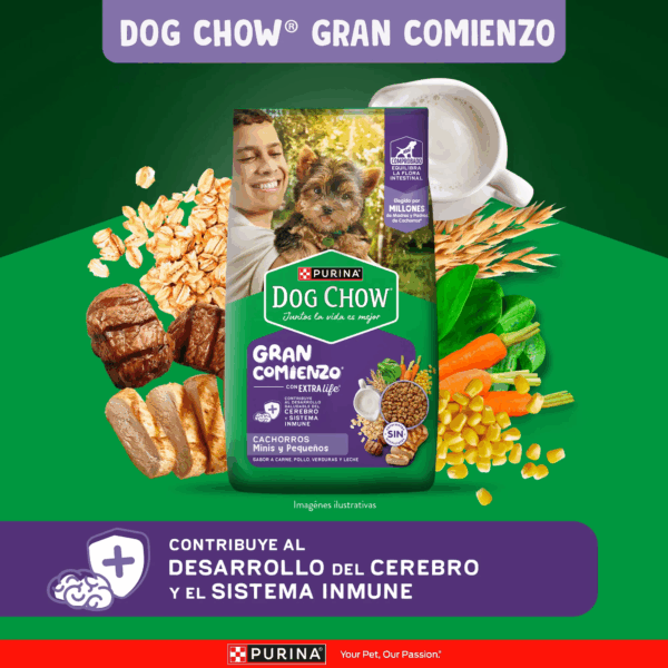 Dog chow cachorros pequeños y minis - Image 2
