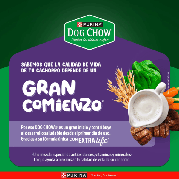 Dog chow cachorros pequeños y minis - Image 3
