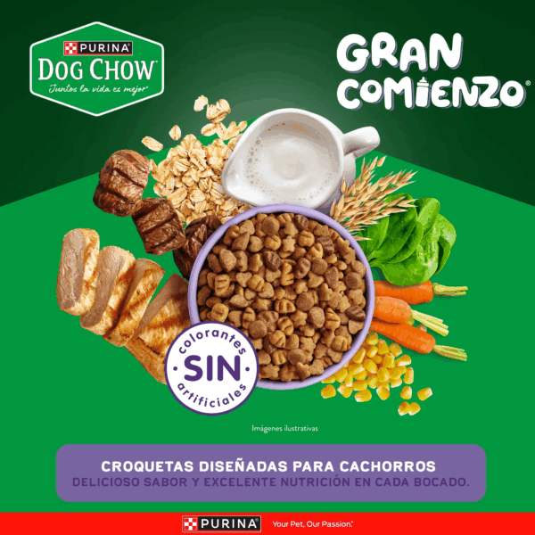 Dog chow cachorros pequeños y minis - Image 5
