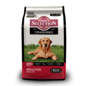 Dog Selection Criadores adultos