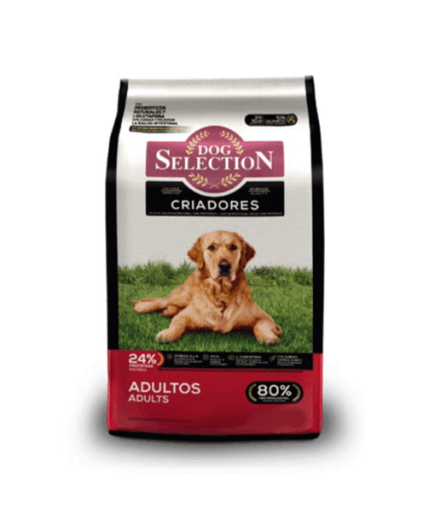 Dog Selection Criadores adultos