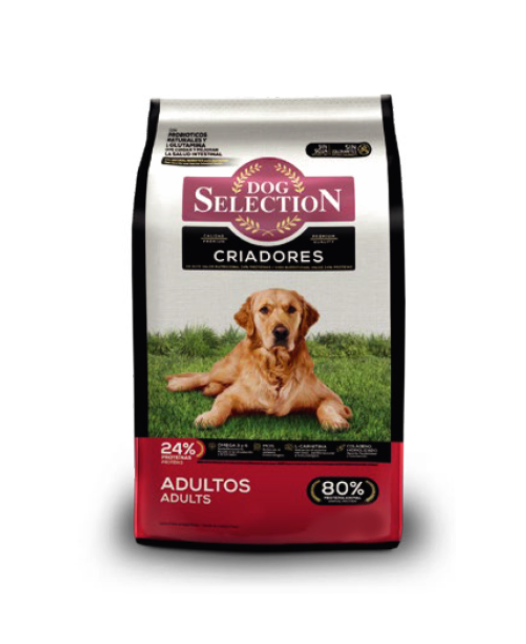 Dog Selection Criadores adultos