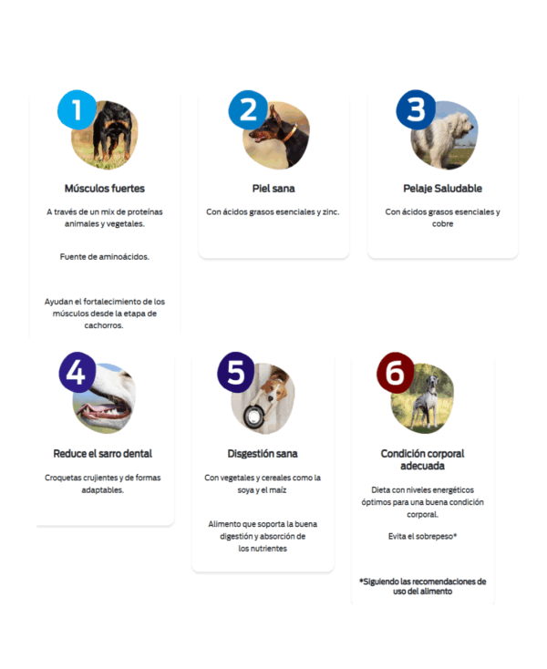 Dogui cachorro - Image 3
