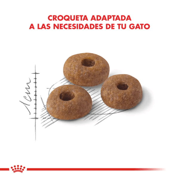 Royal Canin Fit 32 - Image 4