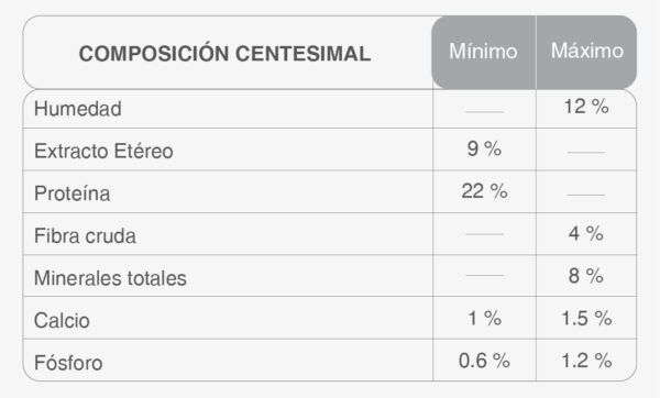 Kongo Natural perros adultos - Image 3