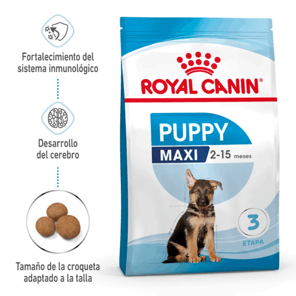 Royal Canin Maxi Puppy - Image 2