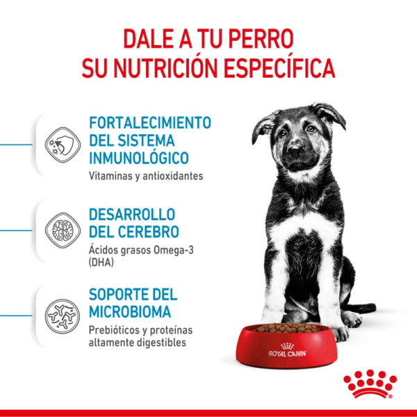 Royal Canin Maxi Puppy - Image 3