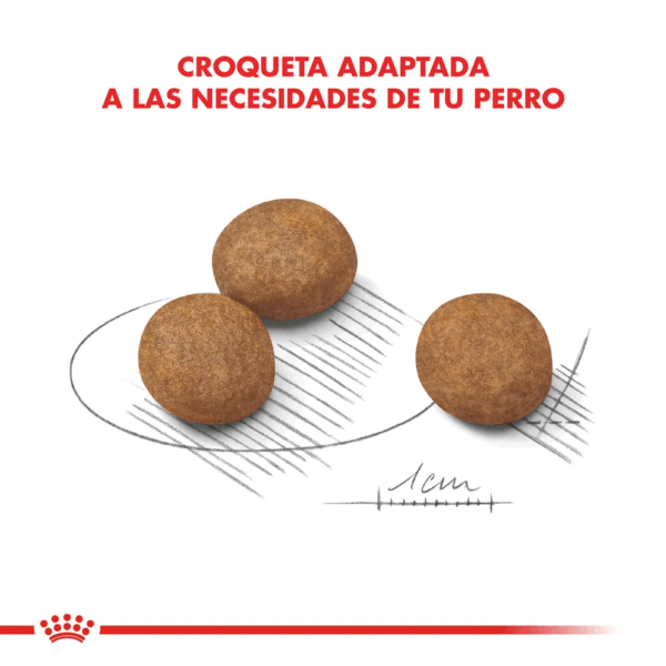 Royal Canin Maxi Puppy - Image 4