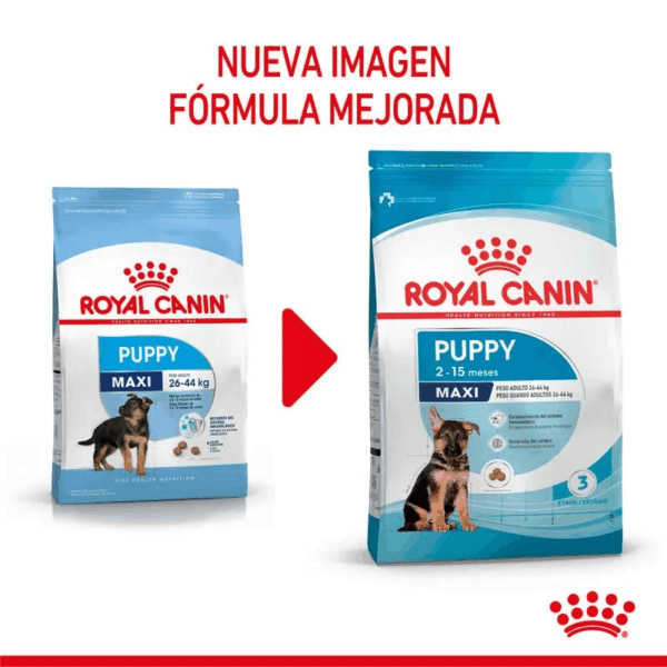 Royal Canin Maxi Puppy - Image 5