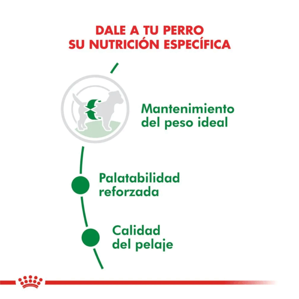 Royal Canin Mini Adulto - Image 2