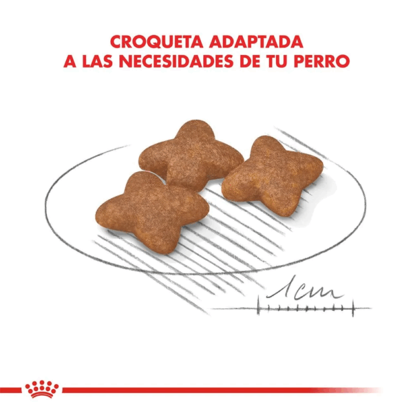 Royal Canin Mini Adulto - Image 3