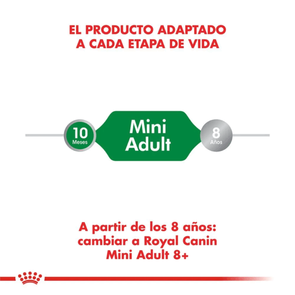 Royal Canin Mini Adulto - Image 4