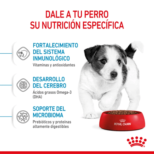 Royal Canin Mini Puppy - Image 3