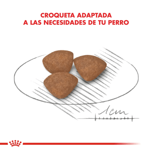 Royal Canin Mini Puppy - Image 4