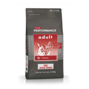 Royal Canin Performance adulto gatos