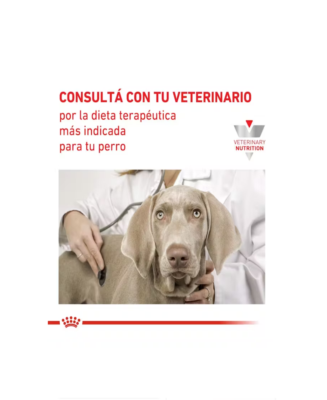 Royal Canin Hepatic perros - Image 5