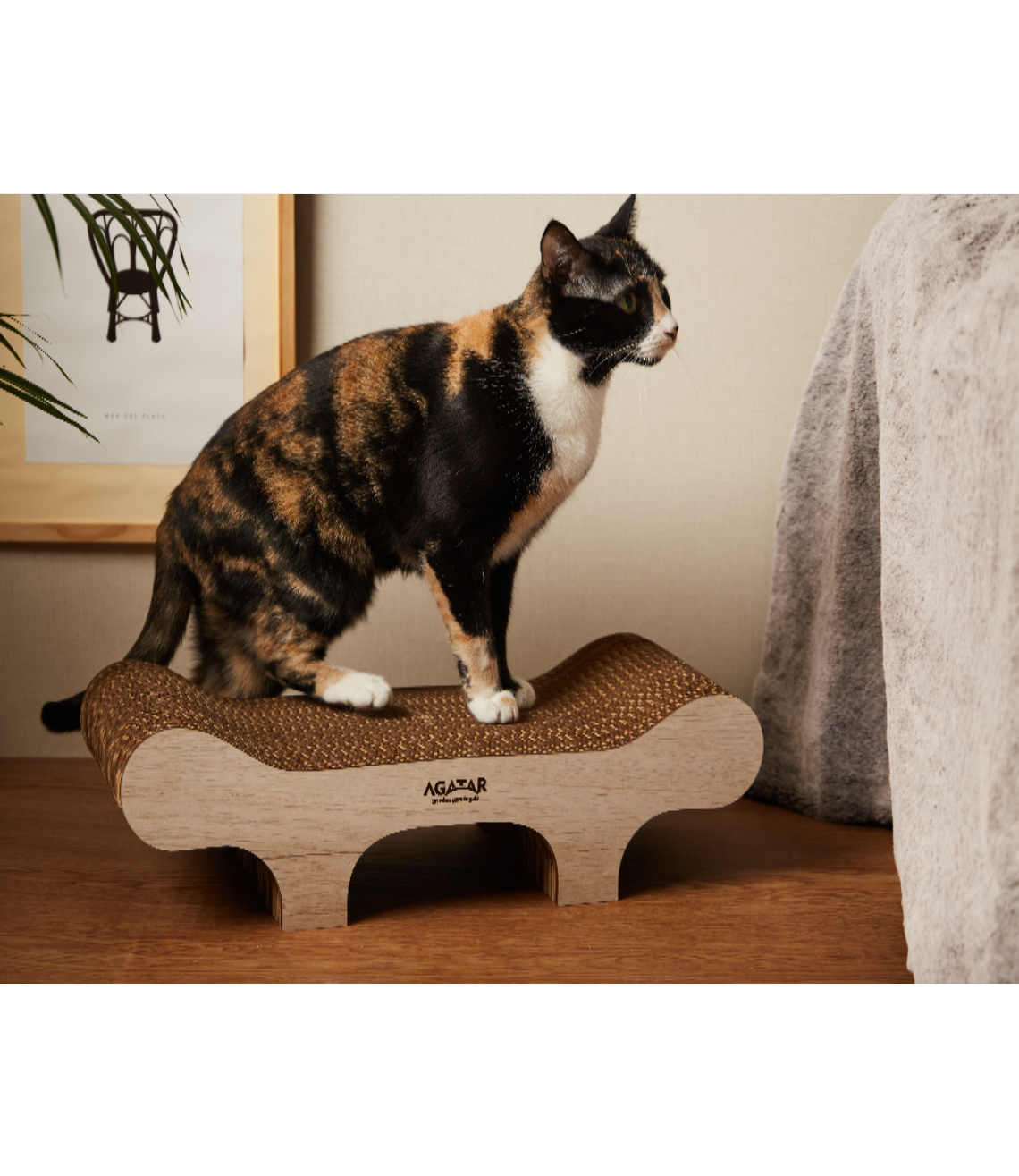 Agatar sillón simón