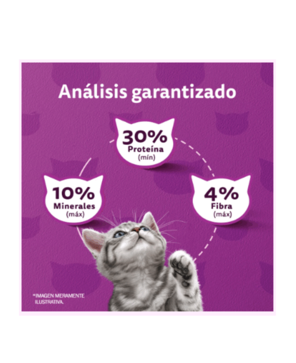 Whiskas gatitos - Image 3