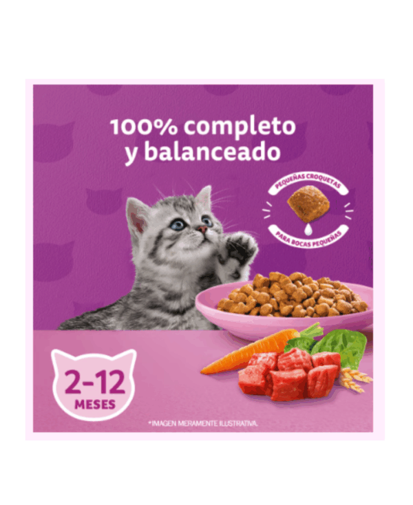 Whiskas gatitos - Image 2