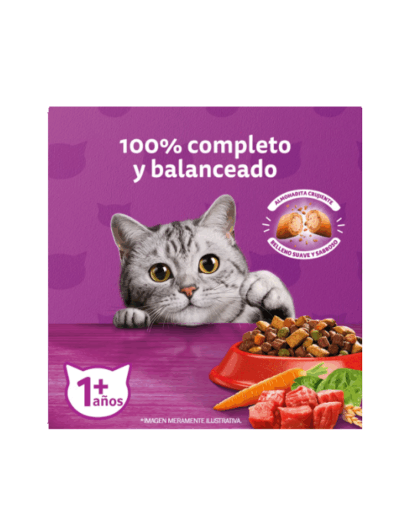 Whiskas carne - Image 2